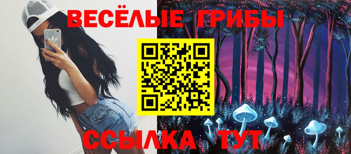 Псилоцибиновые грибы GOLDEN TEACHER  Вход с VPN  Галлюциногенные грибы Psilocybe  наркота  Азов 